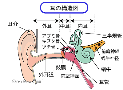 さいとう耳鼻咽喉科クリニック